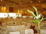 bahia-escondida-hotel-convention-center-and-resort-bahia-dorada.jpg