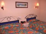 comfort-inn-los-cabos-standard.jpg