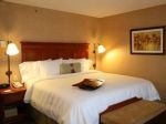 hampton-inn-guadalajara-aeropuerto-Hampton-Inn-Guadalajara-king-room.jpg