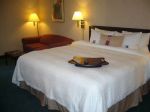 hampton-inn-monterrey-galerias-standard.jpg