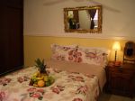 oaxaca-guest-hotel-Oaxaca-Guest-Single2.jpg