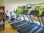 sheraton-buganvilias-resort-_-convention-center-gym.jpg